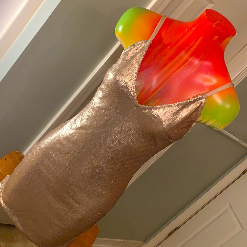 FASHION NOVA Bodycon Flashy Dress